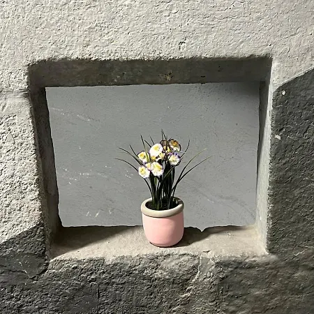 Апартаменты Grand Elegant Et Spacieux 6 Personnes *