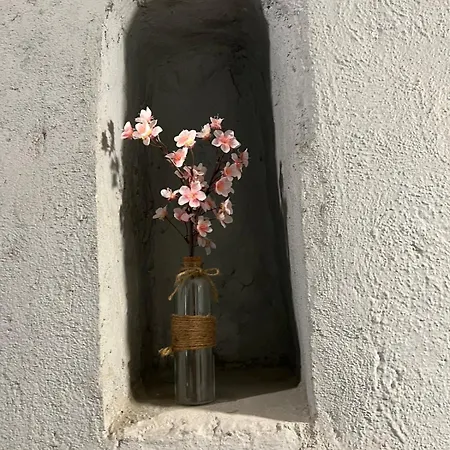 Grand Elegant Et Spacieux 6 Personnes Le Puy-en-Velay