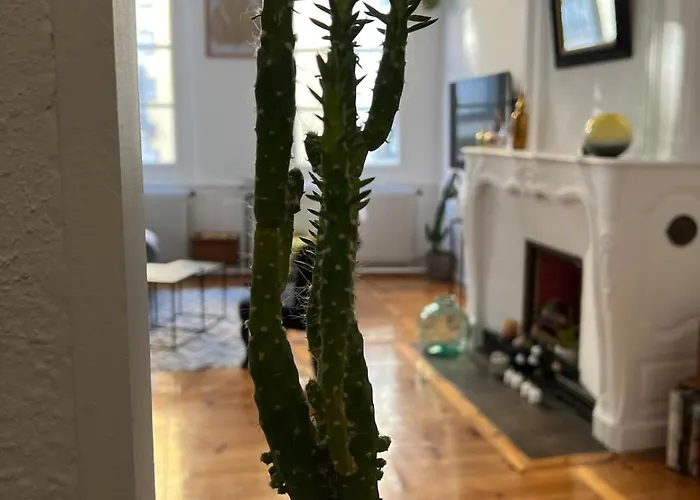 Apartment Grand Elegant Et Spacieux 6 Personnes