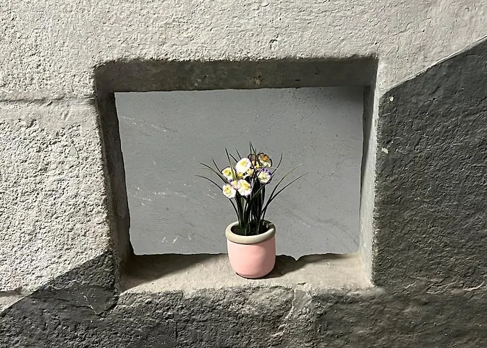 Apartment Grand Elegant Et Spacieux 6 Personnes *