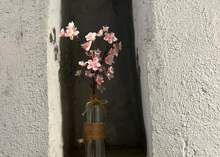 Grand Elegant Et Spacieux 6 Personnes Le Puy-en-Velay